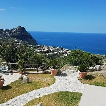 Montecorvo * Forio (Isola d'Ischia)